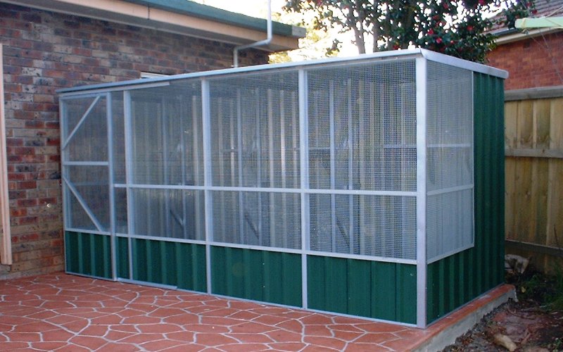 aviaries & dog kennels by shed quarters